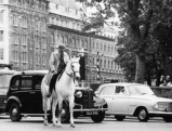 Mann mit Pferd in London