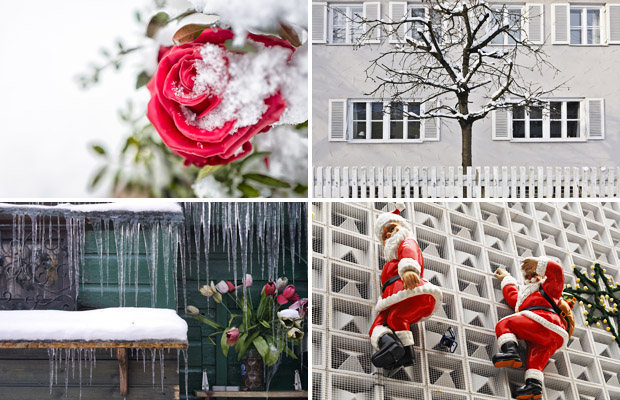 Weihnachtliches, Winterliches und Weißes bei SZ Photo Creative